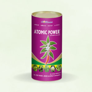 Atomic Power