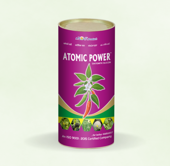 Atomic Power