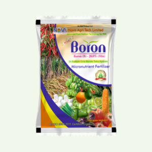 Nova Boron 20%