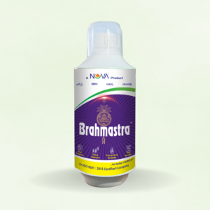 Brahmastra