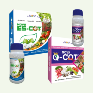 Nova Es-Cot Combi / Nova Q-Cot Combi