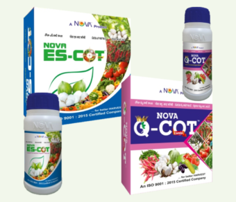 Nova Es-Cot Combi / Nova Q-Cot Combi