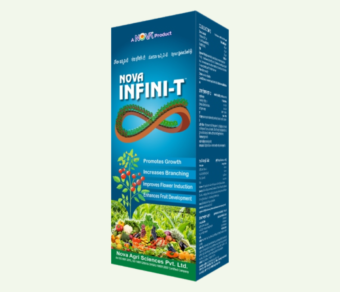 Nova Infini-T (Forchlorfenurom (CPPU)0.1% IW/V Liquid )