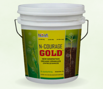 Nova Wonder / N-Courage Gold