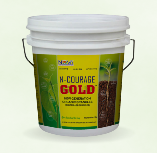 Nova Wonder / N-Courage Gold