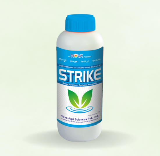 Nova Strike (Azoxystrobin 4.8% + Chlorothalonil 40% SC)