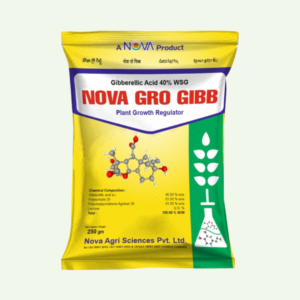 Nova Gro Gibb (Gibberellic Acid 40% WSG)