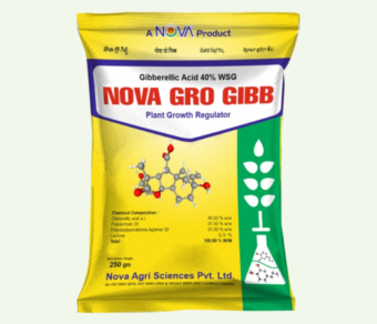 Nova Gro Gibb (Gibberellic Acid 40% WSG)