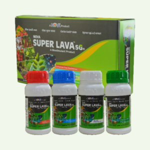 Nova Super Lava 5G+