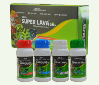 Nova Super Lava 5G+
