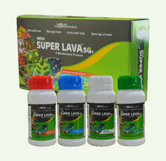 Nova Super Lava 5G+