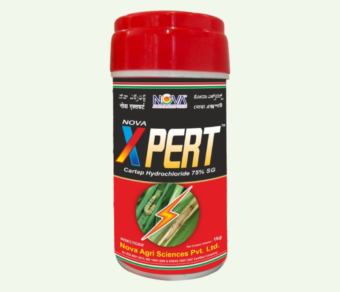 Nova X-Pert (Cartap Hydrochloride 75% SG)