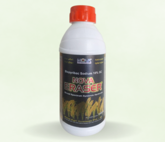 2,4 Del (2,4 D Amine Salt 58% SL)