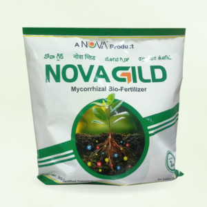 Nova Gild