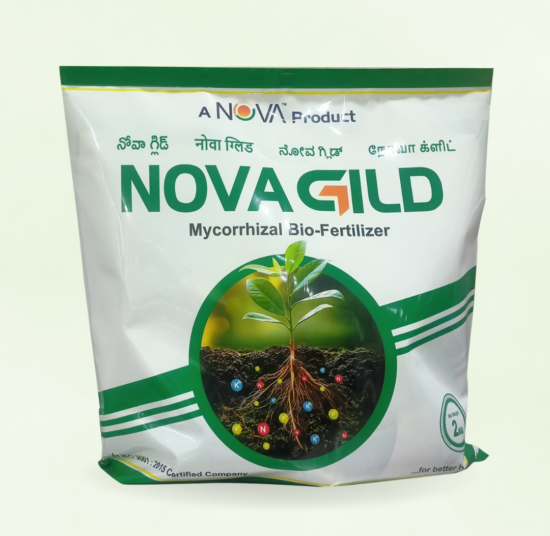 Nova Gild