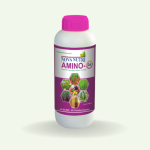 Nova Nutri Ami-Cal (Amino Acid Chelated Calcium)