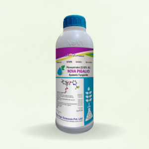 Nova Pigalio (Picoxystrobin 22.52% SC)