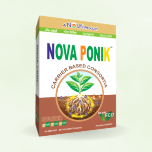 Nova Ponik