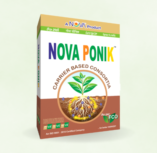 Nova Ponik