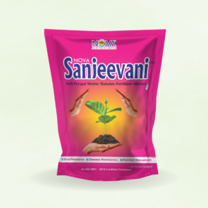 Nova Sanjeevani (NPK : 00:43:30+TE) (Anti Fungal Water Soluble Fertilizer Mixture)