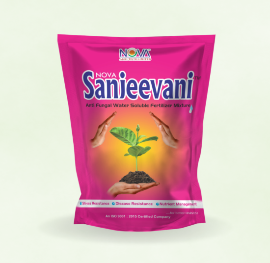 Nova Sanjeevani (NPK : 00:43:30+TE) (Anti Fungal Water Soluble Fertilizer Mixture)