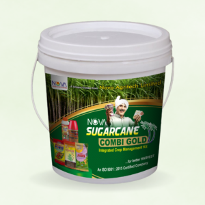 Nova Sugarcane Combi Gold