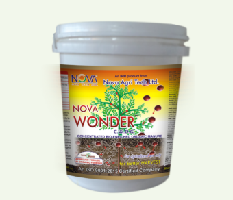 Nova Wonder / N-Courage Gold