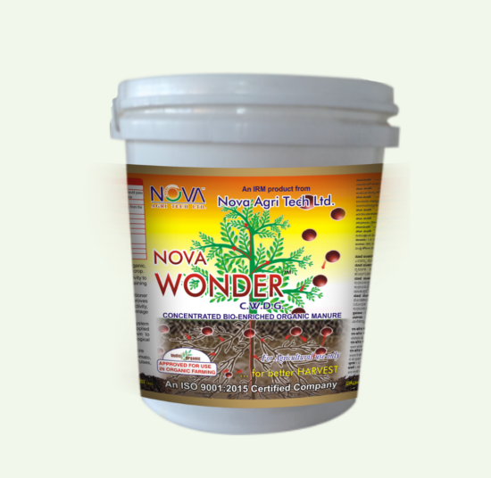 Nova Wonder / N-Courage Gold
