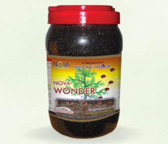 Nova Wonder / N-Courage Gold
