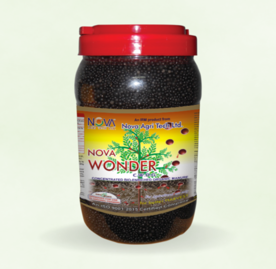 Nova Wonder / N-Courage Gold