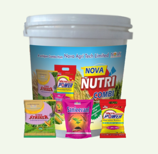 Nova Nutri Combi (3 Star)