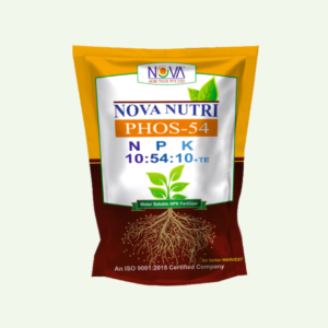 Nova Nutri Phos-54(NPK 10:54:10+0.2%B)