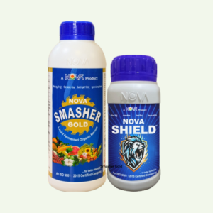 Nova Smasher Gold / Nova Shield