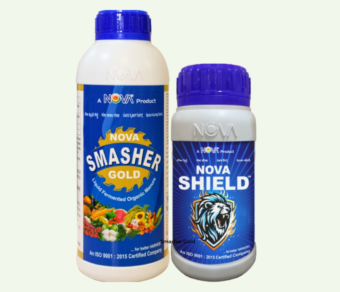 Nova Smasher Gold / Nova Shield