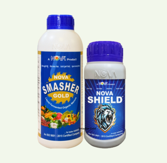 Nova Smasher Gold / Nova Shield