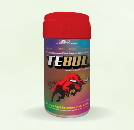 Tebul (Tebuconazole10% + Sulphur 65% WG)