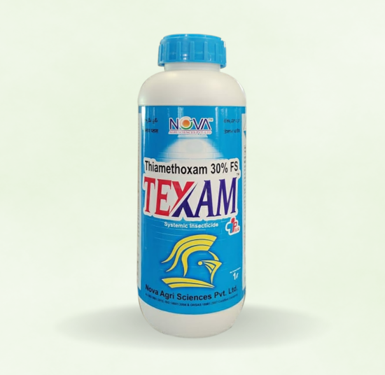 Texam Plus (Thiamethoxam 30% FS)